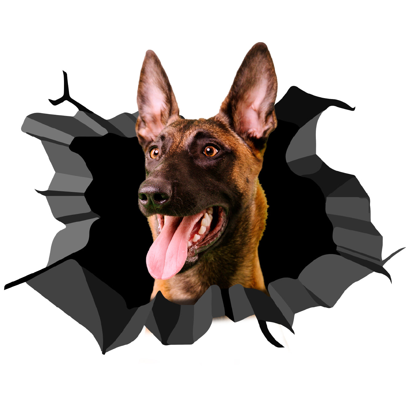 стикер лепенка куче в колата белгийска овчарка стъкло купе dog sticker belgian shepherd