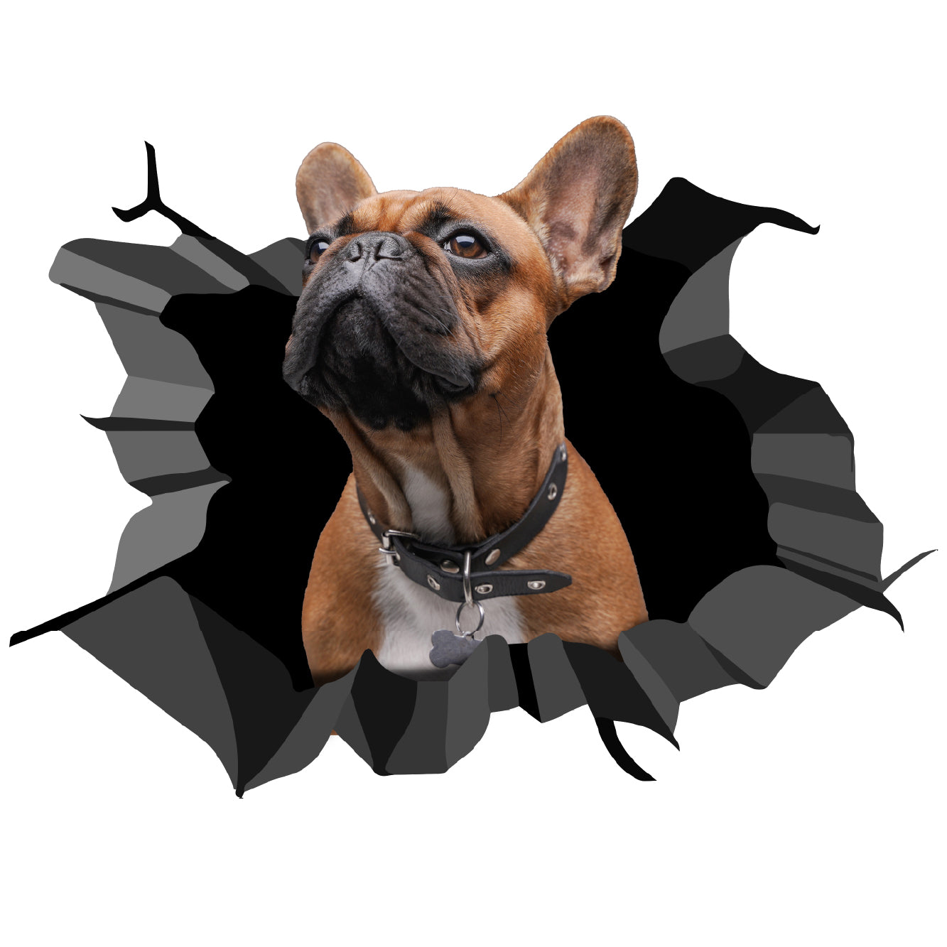 стикер 3д лепенка за кола френски булдог в колата куче dog frenchie