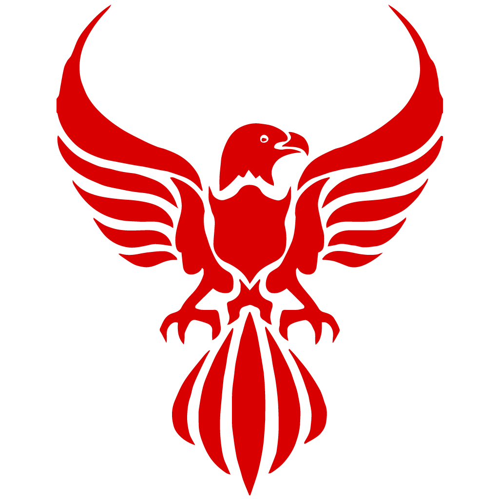 Стикер за автомобил - Tribal Eagle