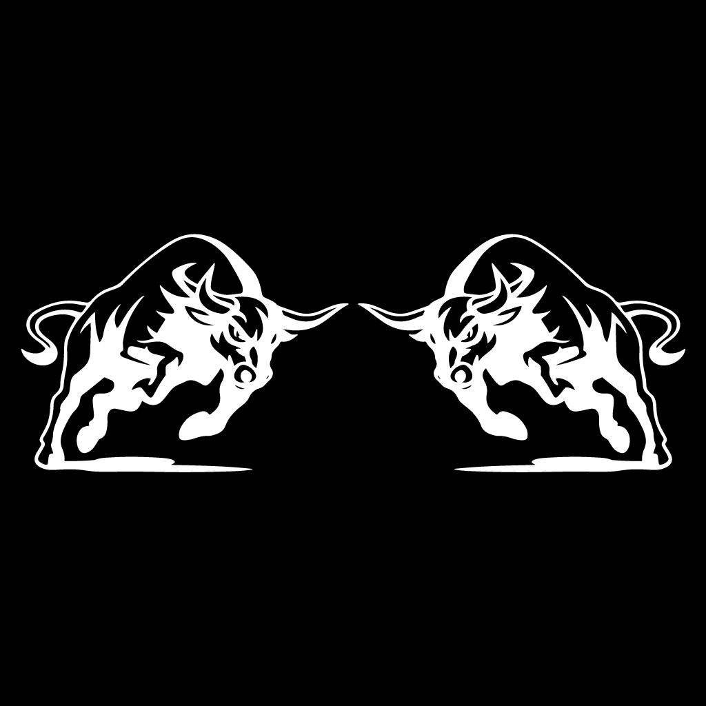 Комплект стикери за автомобил - Бикове