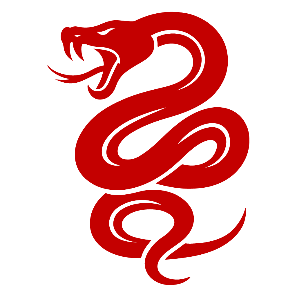 Стикер за автомобил - Snake