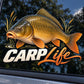 Carp Life - реалистичен шаран и надпис върху автомобилно стъкло, близка визуализация