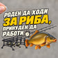 Роден да ходи за риба, принуден да работи - стикер върху прозрачно транспортно фолио, държано с ръка
