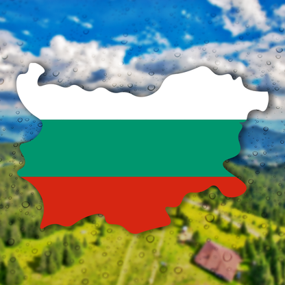стикер лепенка за кола България знаме карта флаг фолио стъкло