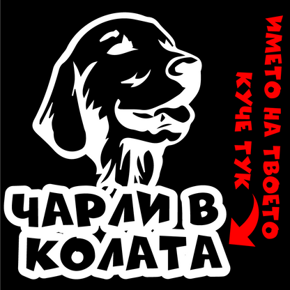 Стикер за кола - Куче в Колата с Име по Избор ( Golden Retriever)